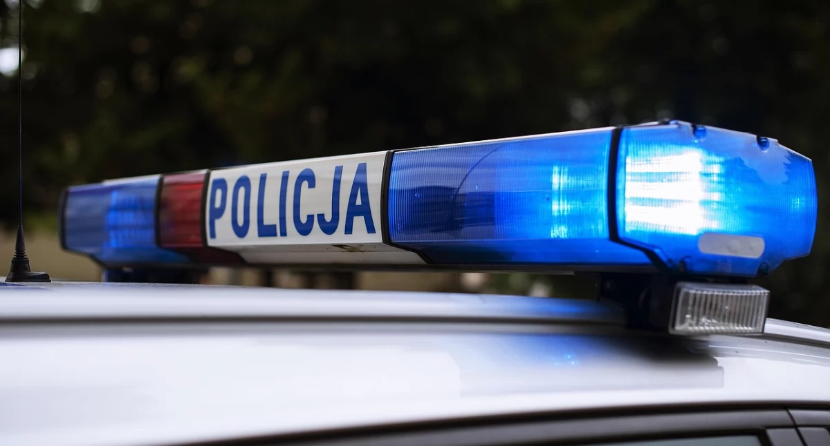 Zdjęcie ilustracyjne / Foto: pexels.com