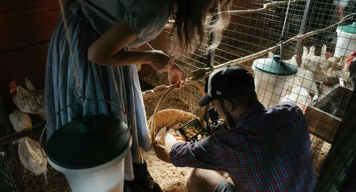 Zdjęcie ilustracyjne / Foto: pexels.com