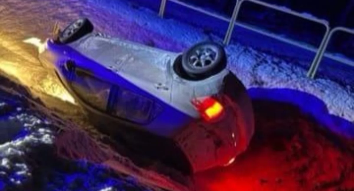 Fot. Straż Graniczna 