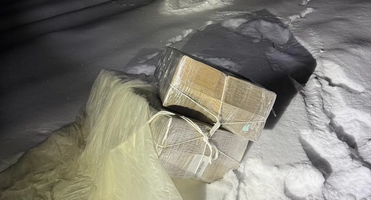 Fot. Straż Graniczna 