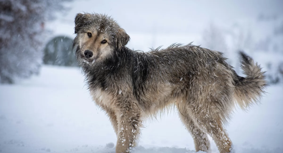 Zdjęcie ilustracyjne / Foto: pexels.com