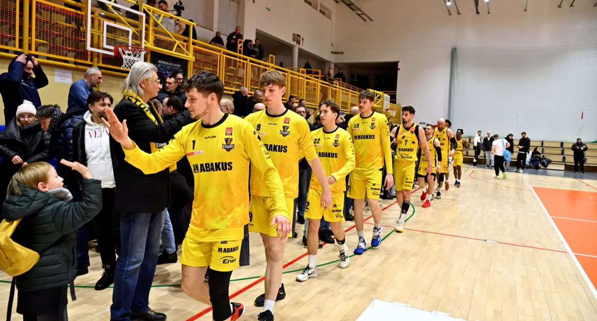 Koszykówka , Żubry wracają utrzymanie - zdjęcie, fotografia