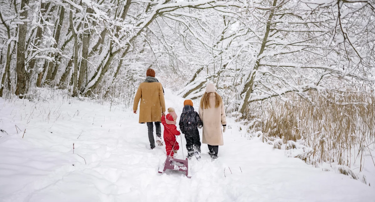 Zdjęcie ilustracyjne / Foto: pexels.com