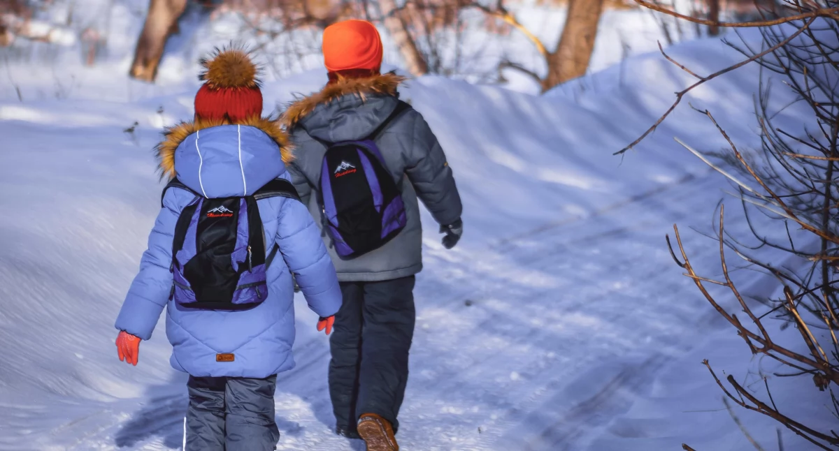 Zdjęcie ilustracyjne / Foto: pexels.com