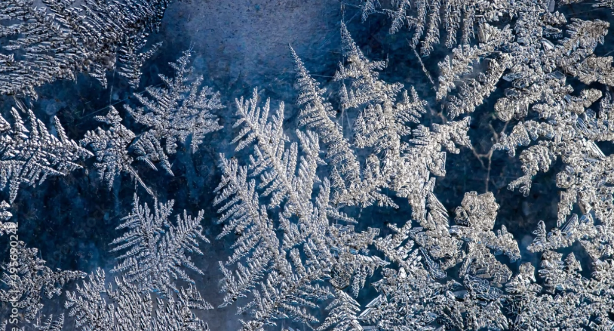 Zdjęcie ilustracyjne / Foto: pixabay.com