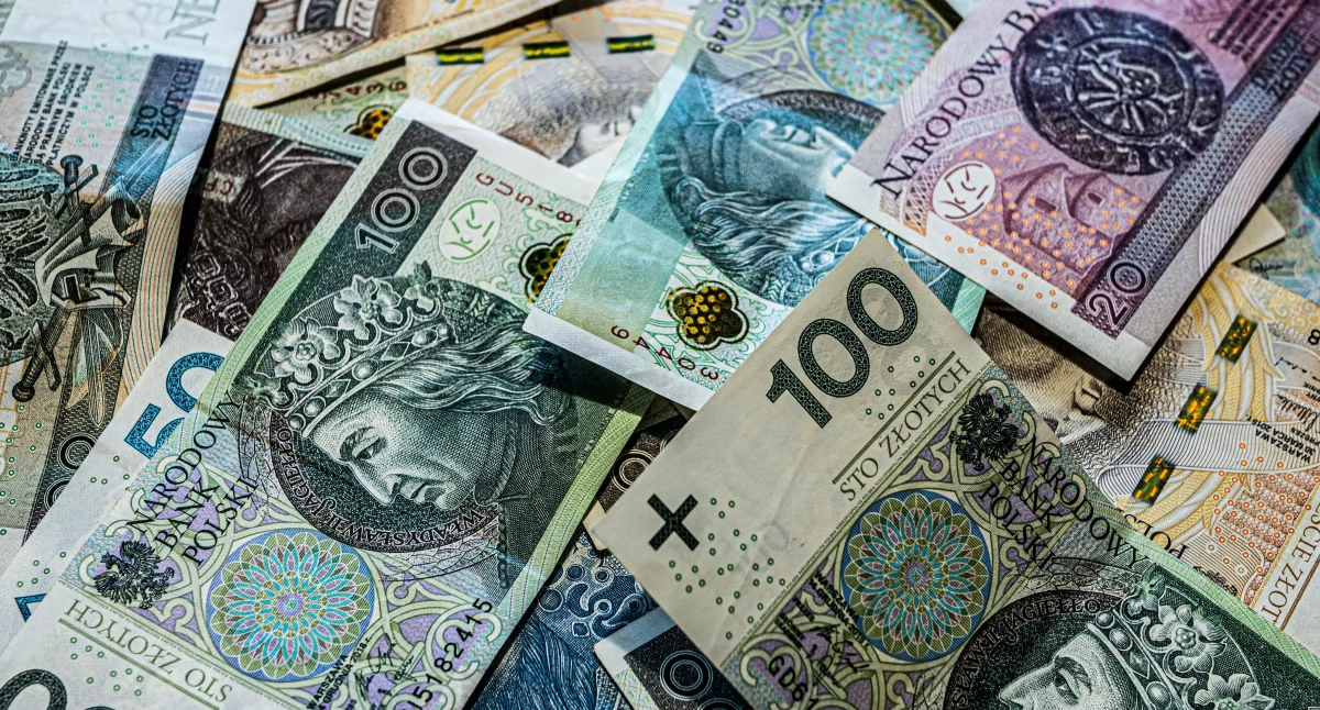 Zdjęcie ilustracyjne / Foto: pexels.com