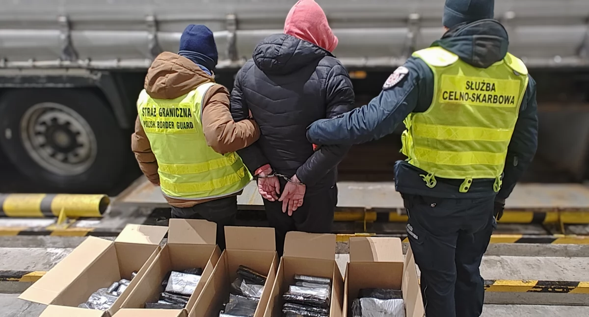 Zatrzymany kierowca / Fot. KAS