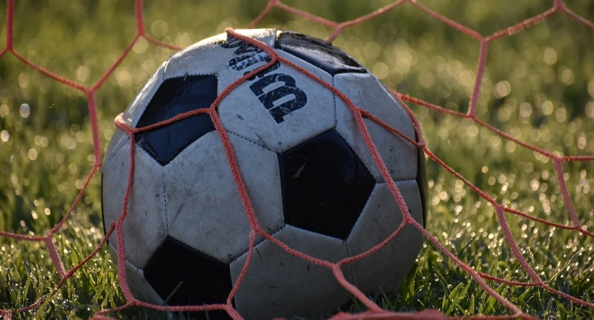 Zdjęcie ilustracyjne / Foto: pixabay.com