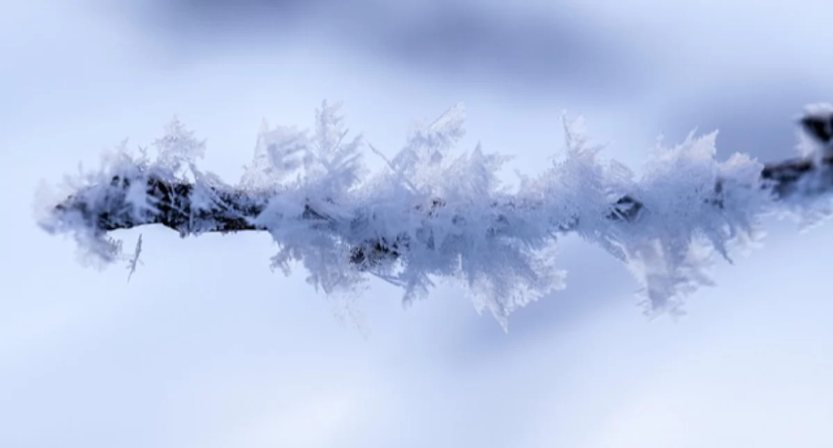 Zdjęcie ilustracyjne / Foto: pixabay.com