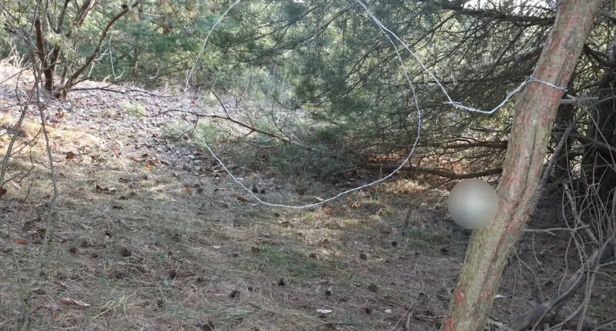 Fot. podlaskapolicja 