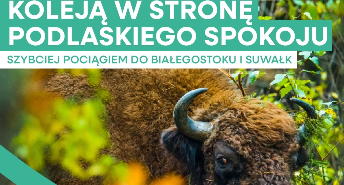 Turystyka, Ekspresowa wiosna podlaskich torach - zdjęcie, fotografia