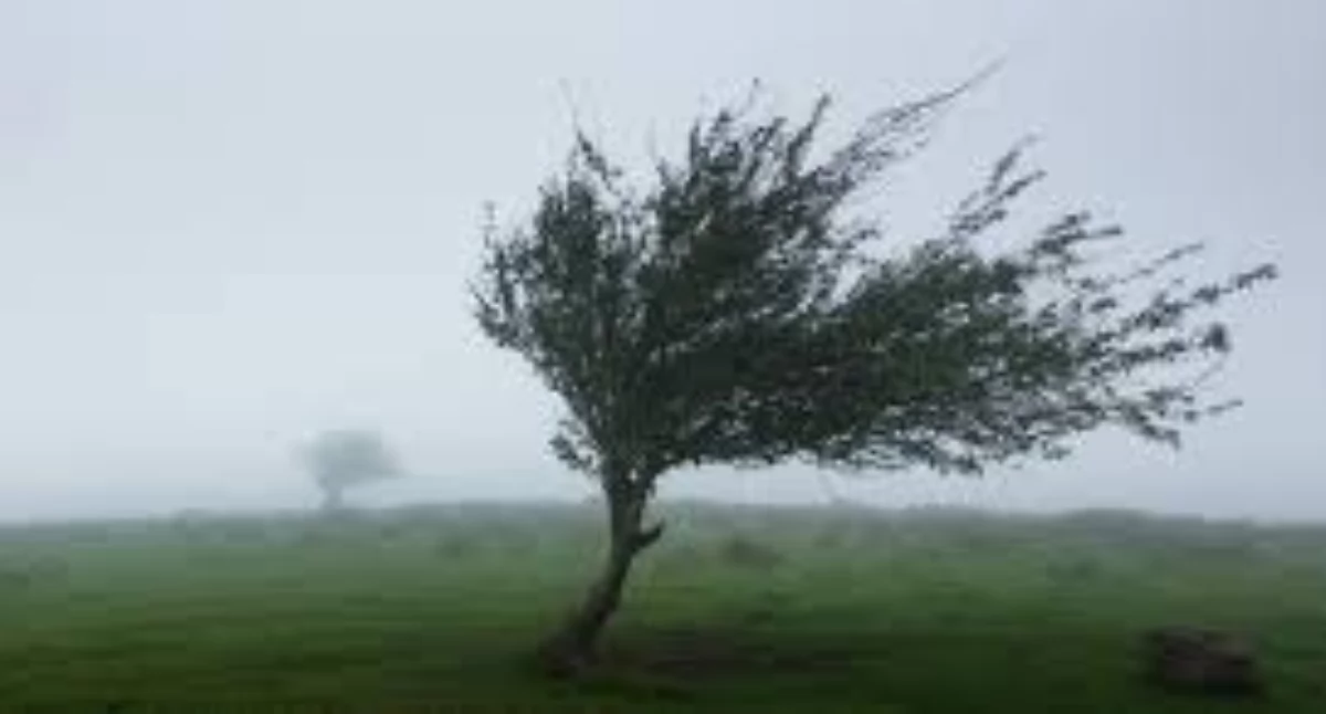 Alert, Wichura nadciąga Podlaskie Porywy km/h! - zdjęcie, fotografia