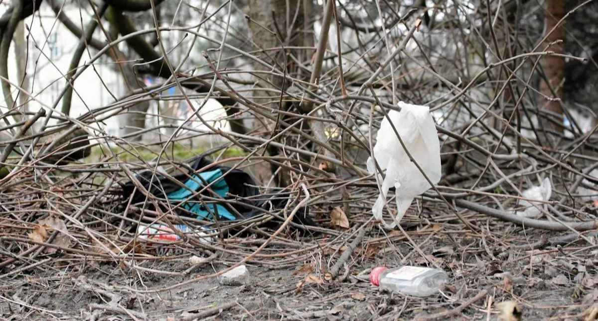 Styl życia, Wyrzucone miliony poboczach GDDKiA podsumowuje koszty sprzątania - zdjęcie, fotografia