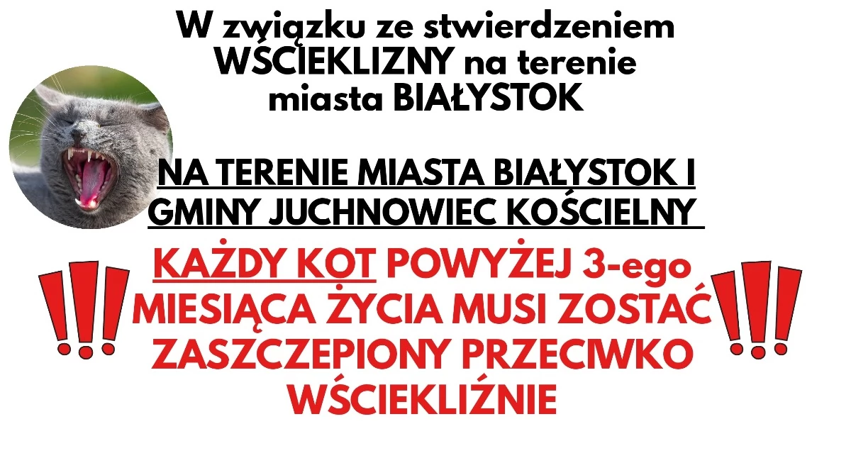 Zdrowie, Uwaga wścieklizna Białymstoku! Wyznaczono strefę zagrożenia obowiązki - zdjęcie, fotografia