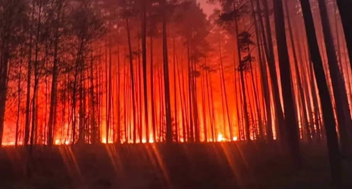 Fot. OSP Biłograj 
