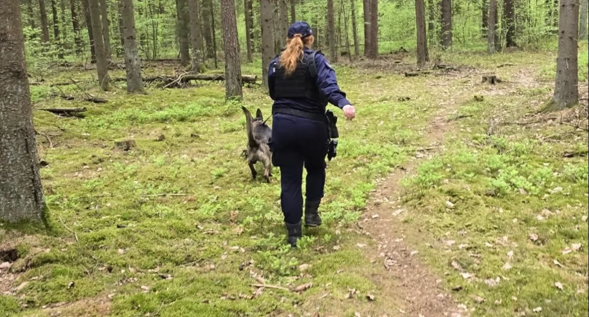 Zaginięcia, Kolejna ucieczka Maxima rowerzysty Holandii Obława białostockich lasach szczęśliwy finał czternastolatka - zdjęcie, fotografia