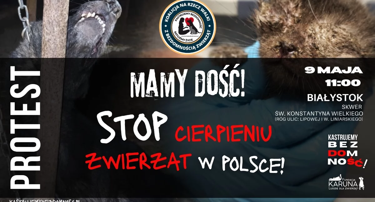 Edukacja, dość cierpienia zwierząt! Protest obrońców czworonogów centrum Białegostoku - zdjęcie, fotografia