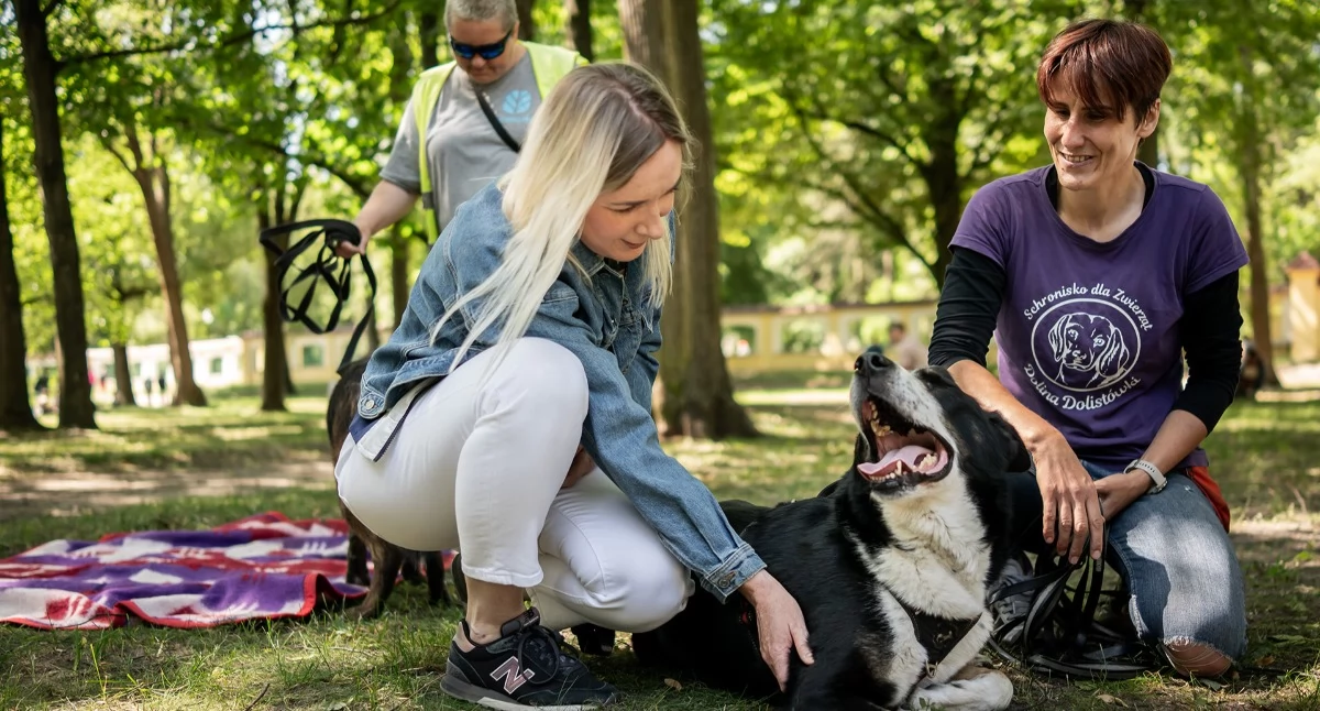 Styl życia, Piknik Majowy Ogrodach Pałacu Branickich Poznaj pupili Doliny Dolistówki! - zdjęcie, fotografia
