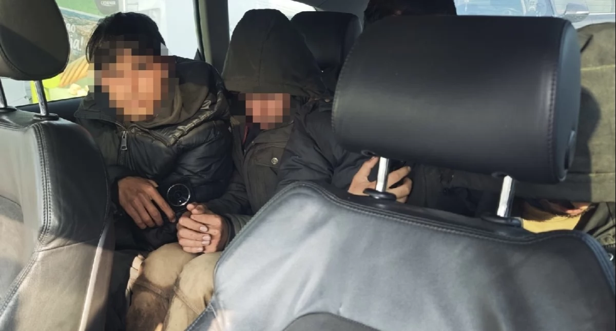 Granica, Służby zwalniają tempa Kolejni migranci kurierzy zatrzymani granicy - zdjęcie, fotografia