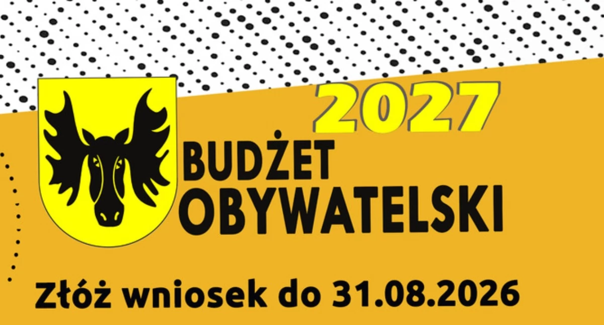 Dotacje, Dzień Dziecka znakiem partycypacji Wasilków odpala wielki budżet obywatelski - zdjęcie, fotografia