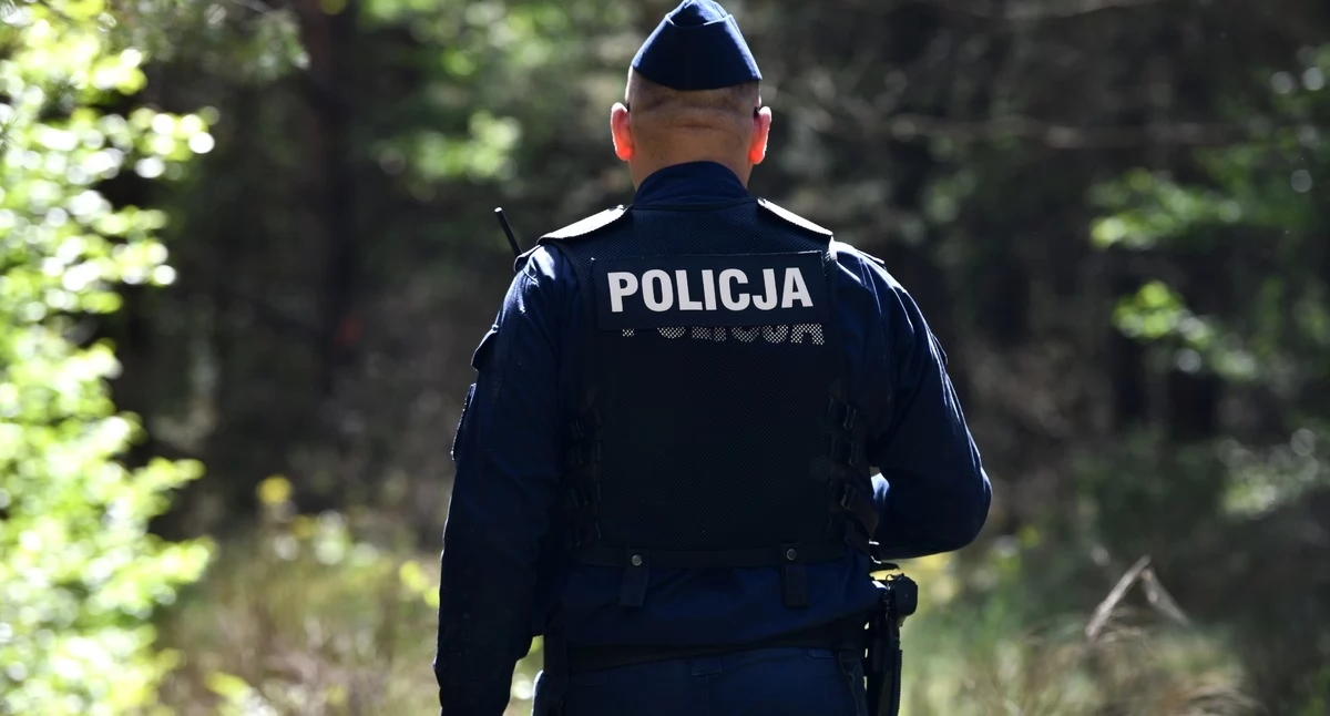 Zaginięcia, Nocny spacer seniorki poboczem krajówki tragedii - zdjęcie, fotografia