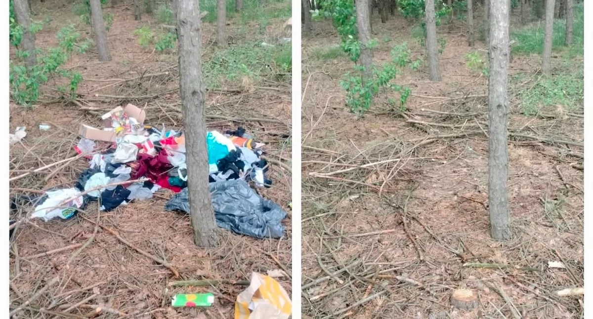Kryminalne, Sterta śmieci lesie Zdradziły przesyłki kurierskie teraz czeka sąd! - zdjęcie, fotografia