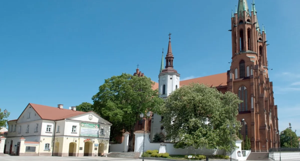 Imprezy kulturalne, Muzyczna uczta murach bazyliki Ruszają Katedralne Koncerty Organowe - zdjęcie, fotografia