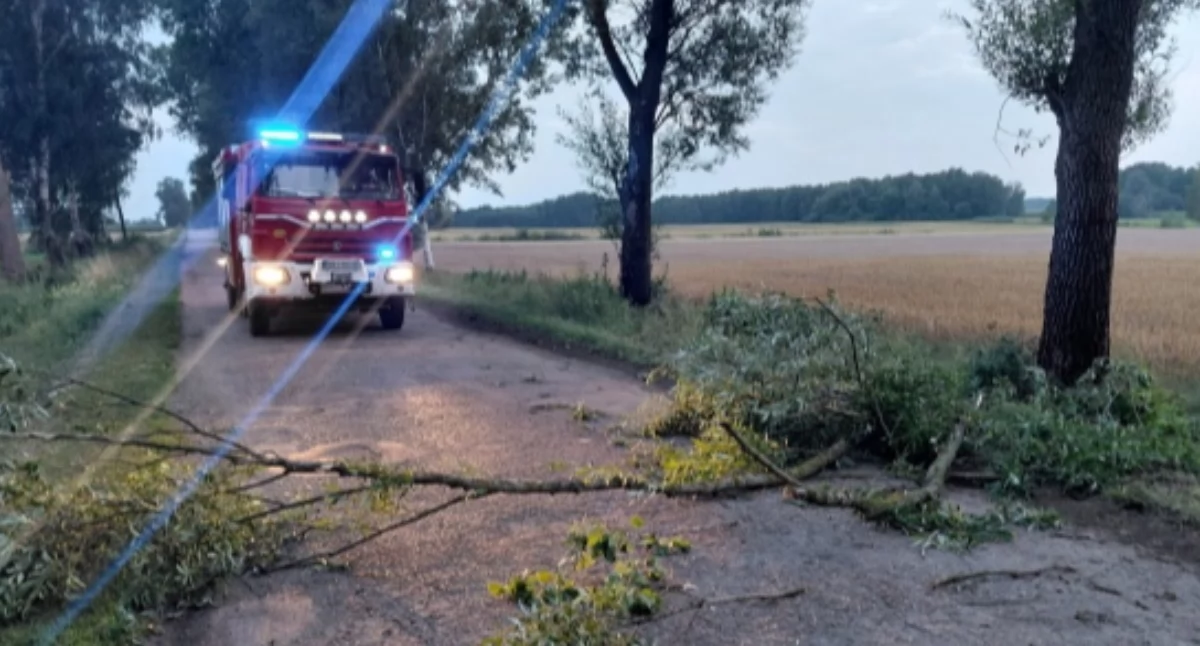 Po sobotnich gwałtownych burzach nad Podlasiem. Strażacy interweniowali ponad 80 razy