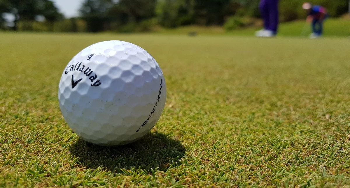 Wasilków chce wybudować pierwsze pole golfowe!
