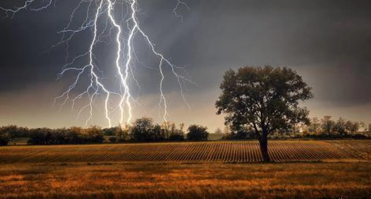 Alert, Uwaga Podlasie! wydaje ostrzeżenie - zdjęcie, fotografia