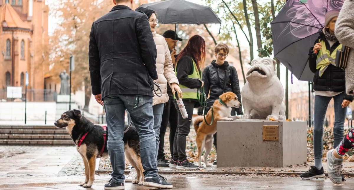 IX Parada Adopciaków przemaszeruje przez miasto