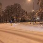 zdjęcie nr 31