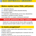 Fotka nr 3 z 6