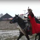 Fotka nr 2 z 7