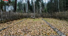 _DSC0019