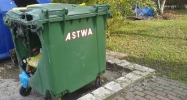 a1