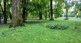 Park po nawałnicy2