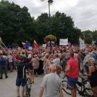 zdjęcie nr 7