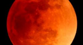 total-eclipse---1442877-m