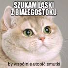 Fotka nr 5 z 11