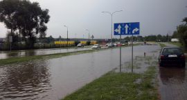 zdjęcie nr 11