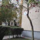 zdjęcie nr 8