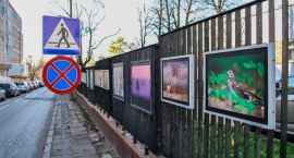 zdjęcie nr 10