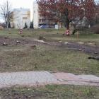 zdjęcie nr 12