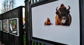 _DSC0004