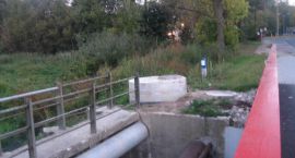 Staw na Dojlidach1
