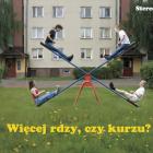 Fotka nr 1 z 2