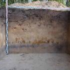  MUZEUM PODLASKIE W BIAŁYMSTOKU 
