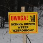 Fotka nr 2 z 3