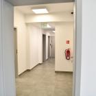 Fotka nr 5 z 8